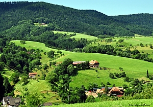 Oberharmersbach, Ortenaukreis, Mittlerer Schwarzwald